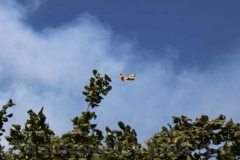 Le operazioni per domare le fiamme