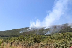 Le operazioni per domare le fiamme