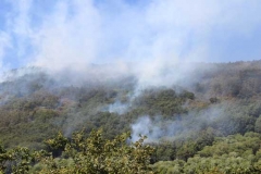 Le operazioni per domare le fiamme