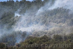 Le operazioni per domare le fiamme