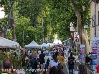 Bolsena - Festa delle ortensie 2020