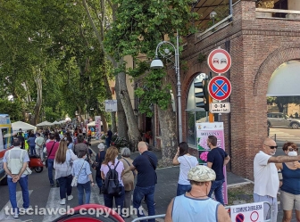Bolsena - Festa delle ortensie 2020