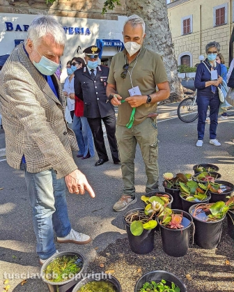 Bolsena - Festa delle ortensie 2020