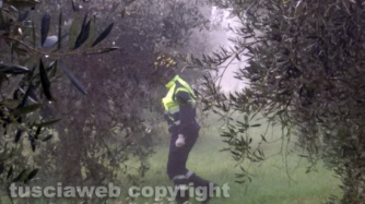 Civitella D\'Agliano - Le ricerche della donna scomparsa