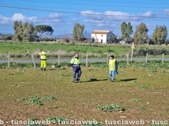 Montalto di Castro - Le ricerche di Rakip Amzov