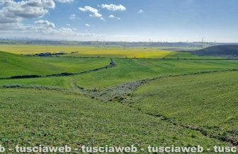 Montalto di Castro - Le ricerche di Rakip Amzov