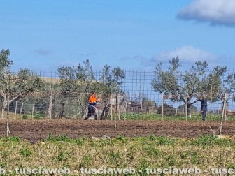 Montalto di Castro - Le ricerche di Rakip Amzov