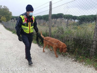 Carabinieri - Il cane molecolare Druido