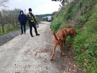 Carabinieri - Il cane molecolare Druido