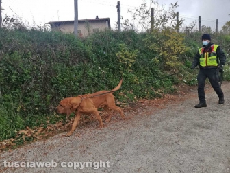 Carabinieri - Il cane molecolare Druido