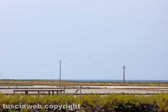 Le Saline