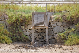 Le Saline