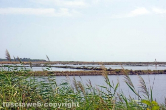 Le Saline