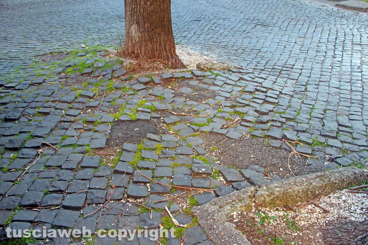 Le strade della città