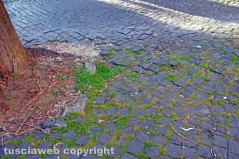 Le strade della città