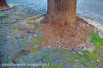 Le strade della città