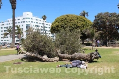 Le strane meraviglie di Santa Monica