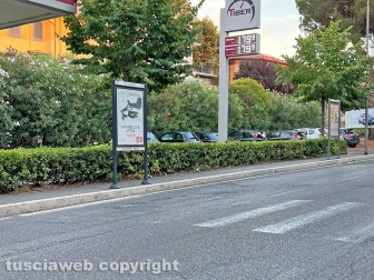 Le strisce pedonali