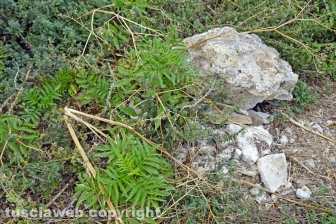 Le terme del Bacucco