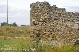 Le terme del Bacucco