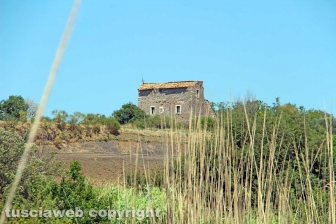 Le terme dell'asinello