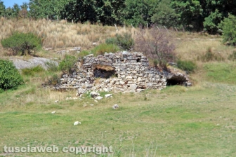 Le terme dell'asinello