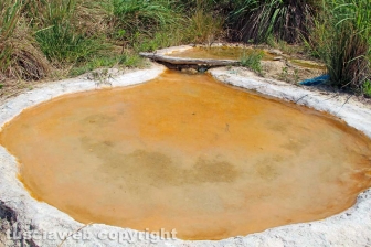 Le terme dell'asinello