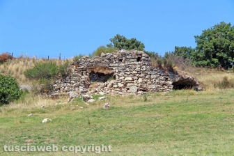 Le terme dell'asinello