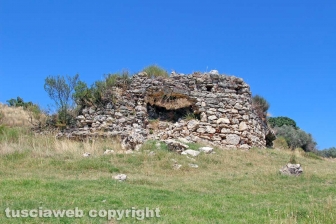 Le terme dell'asinello