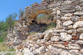 Le terme dell'asinello