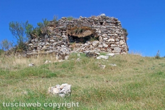 Le terme dell'asinello