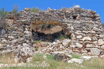Le terme dell'asinello
