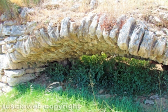 Le terme dell'asinello