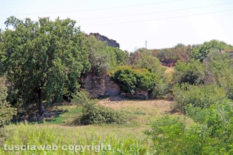 Le terme dell'asinello