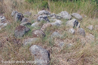 Le terme dell'asinello