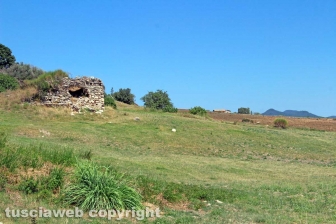 Le terme dell'asinello