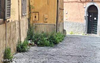 Viterbo - Transenna in via della Pettinara