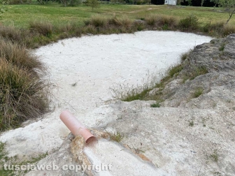 PHOTO-2022-05-05-16-30-36-(1)