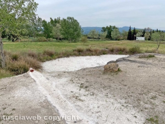 PHOTO-2022-05-05-16-30-36