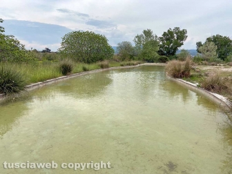 PHOTO-2022-05-05-16-30-37