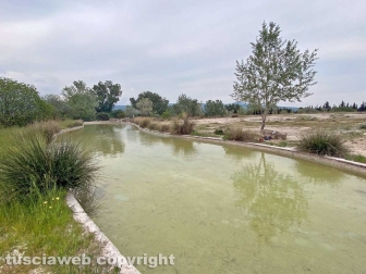 PHOTO-2022-05-05-16-30-46