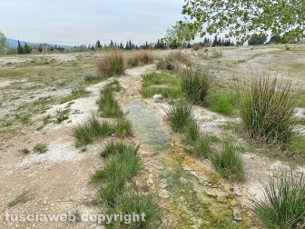 PHOTO-2022-05-05-16-30-47