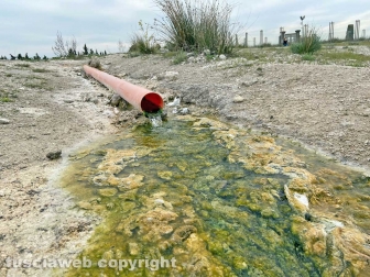 PHOTO-2022-05-05-16-30-49