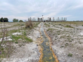 PHOTO-2022-05-05-16-30-50