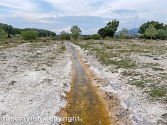 PHOTO-2022-05-05-16-31-08