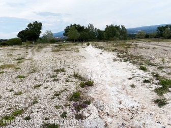 PHOTO-2022-05-05-16-31-11