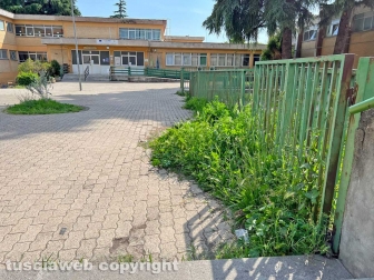 Scuole primarie Vanni-Canevari