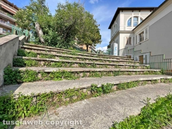 Scuole primarie Vanni-Canevari