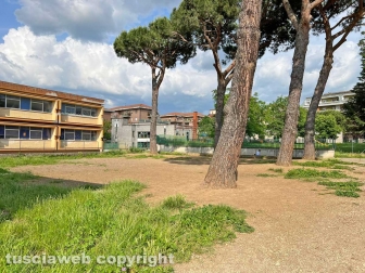Scuola primaria Ellera