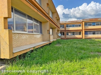 Scuola primaria Ellera